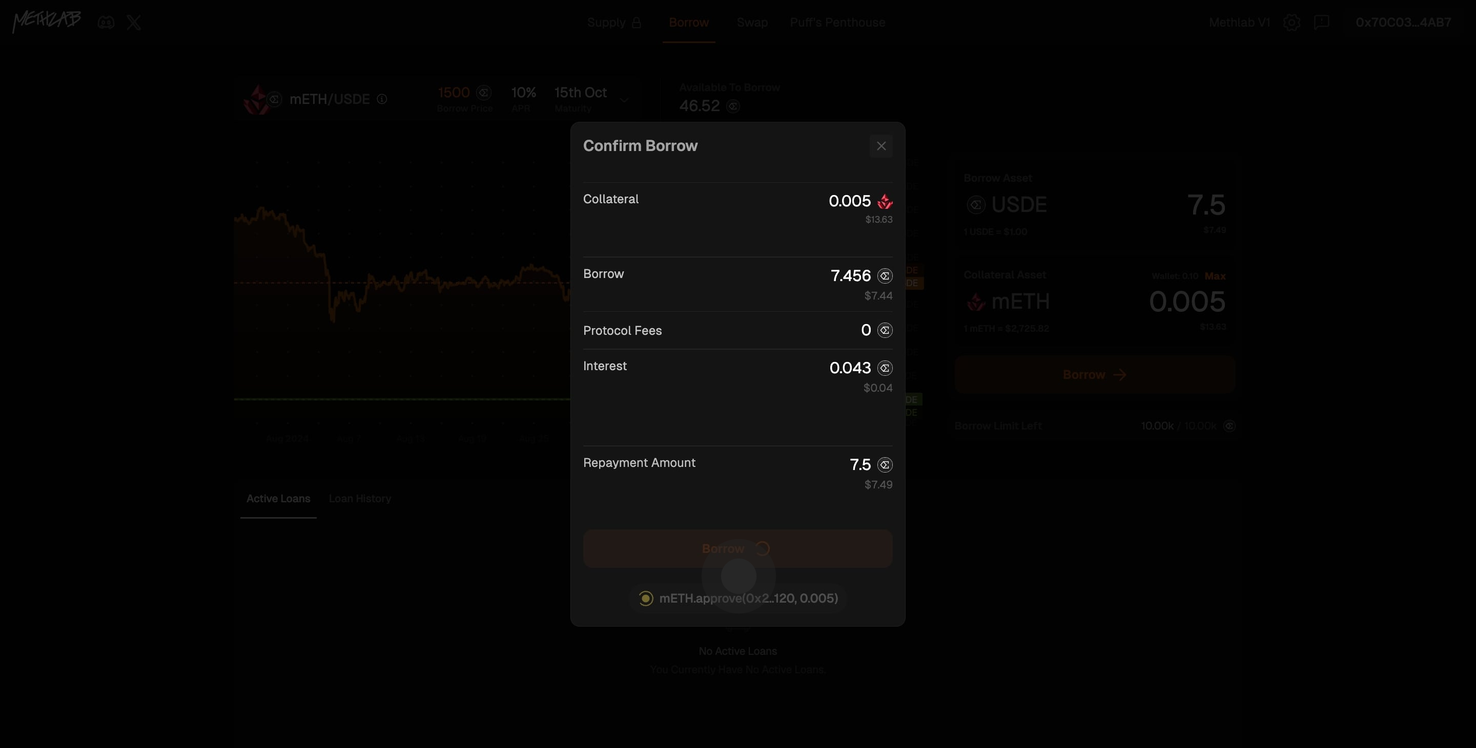 6 Click on "Confirm Borrow".